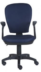 Кресло Бюрократ CH-513AXN